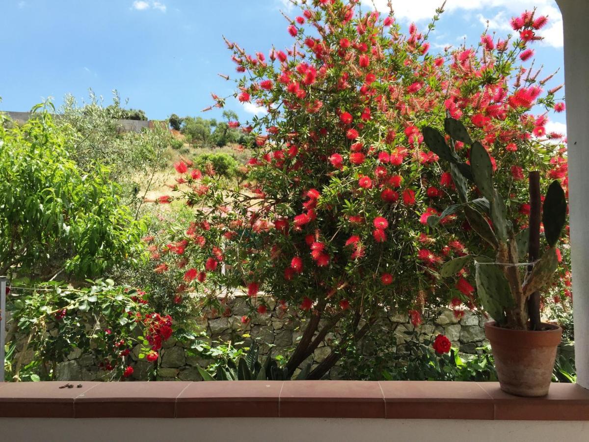 B&B Terre Di Sicilia Giardini-Naxos Exterior foto