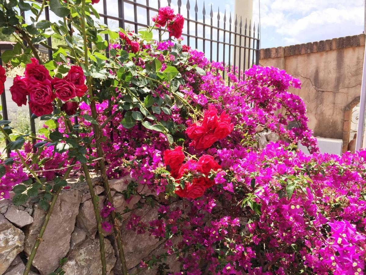 B&B Terre Di Sicilia Giardini-Naxos Exterior foto